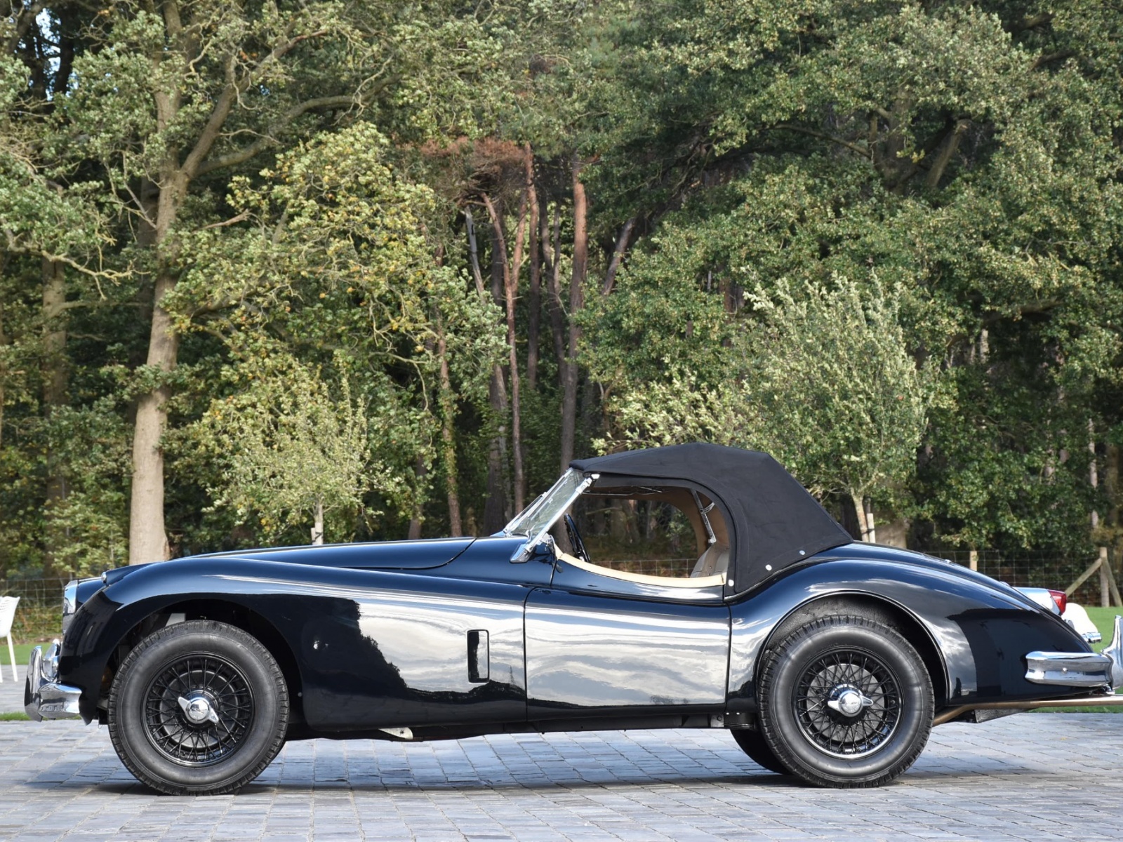 Jaguar roadster 1956
